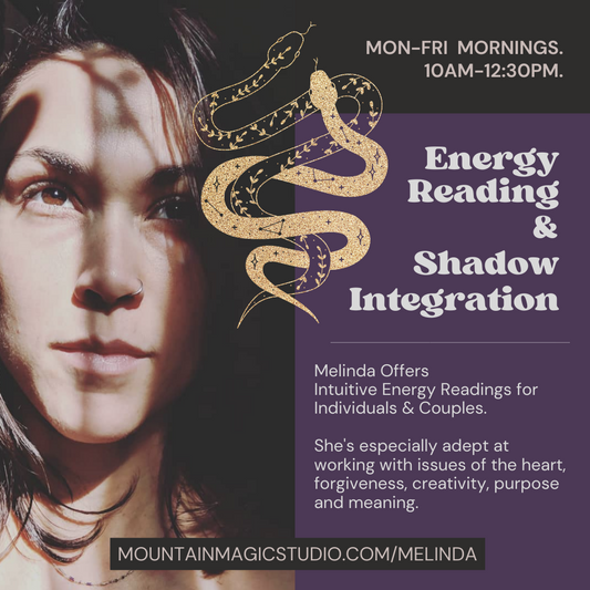 Shadow Integration & Intuitive Energy Reading with Melinda (60 mins)
